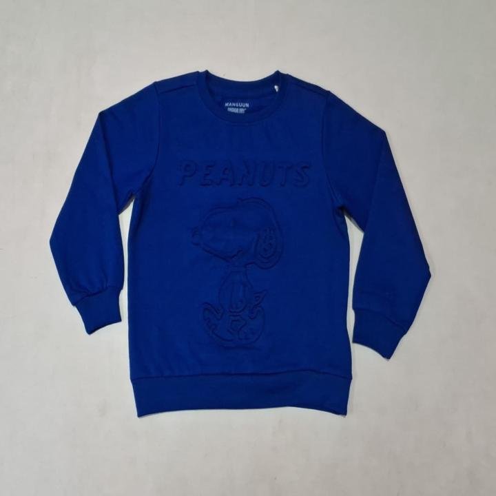 Boys Self Embosed Print Regular Fit Sweatshirt