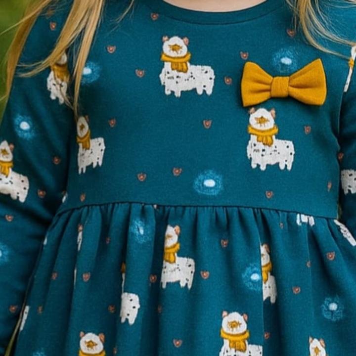 Sweetshirt frock style